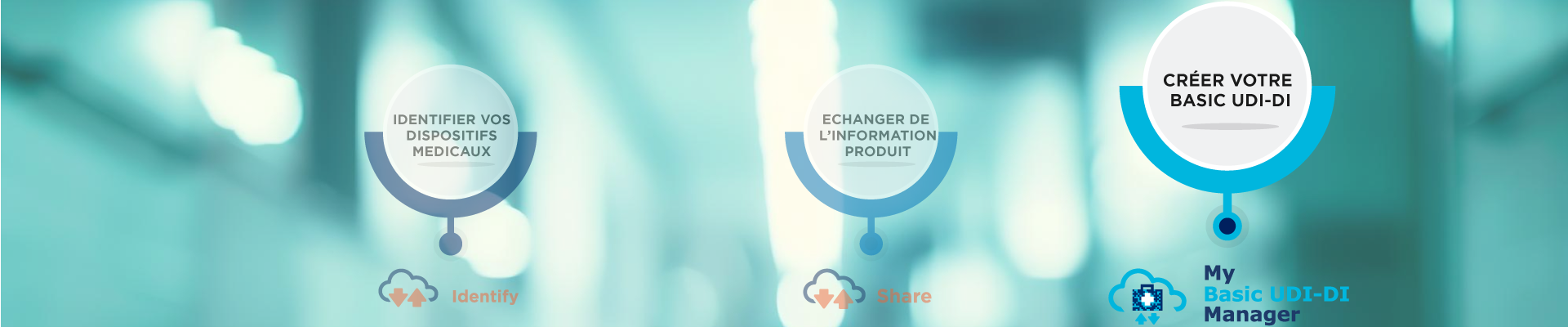 header-webpage-FR-1.