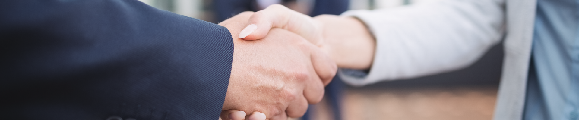 GS1 Partners