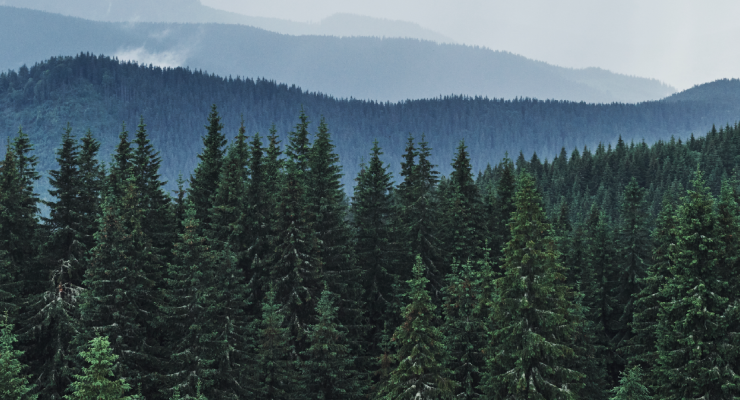 Forest EUDR